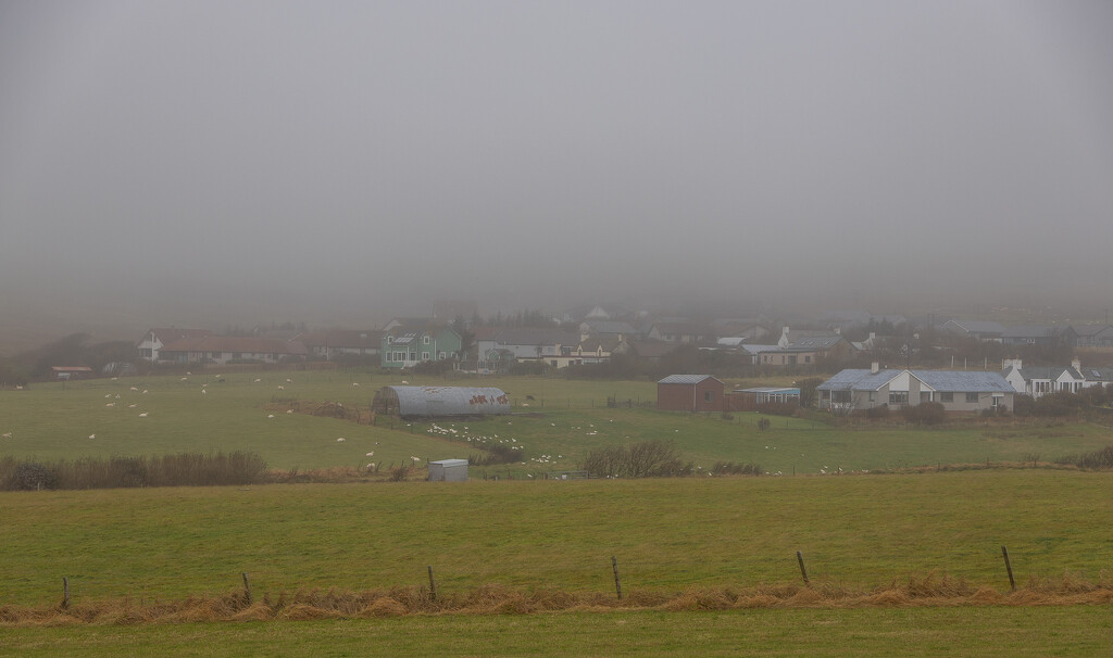 Windy Fog by lifeat60degrees