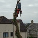 Tree Surgeon......