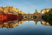 11th Oct 2025 - Reflective 