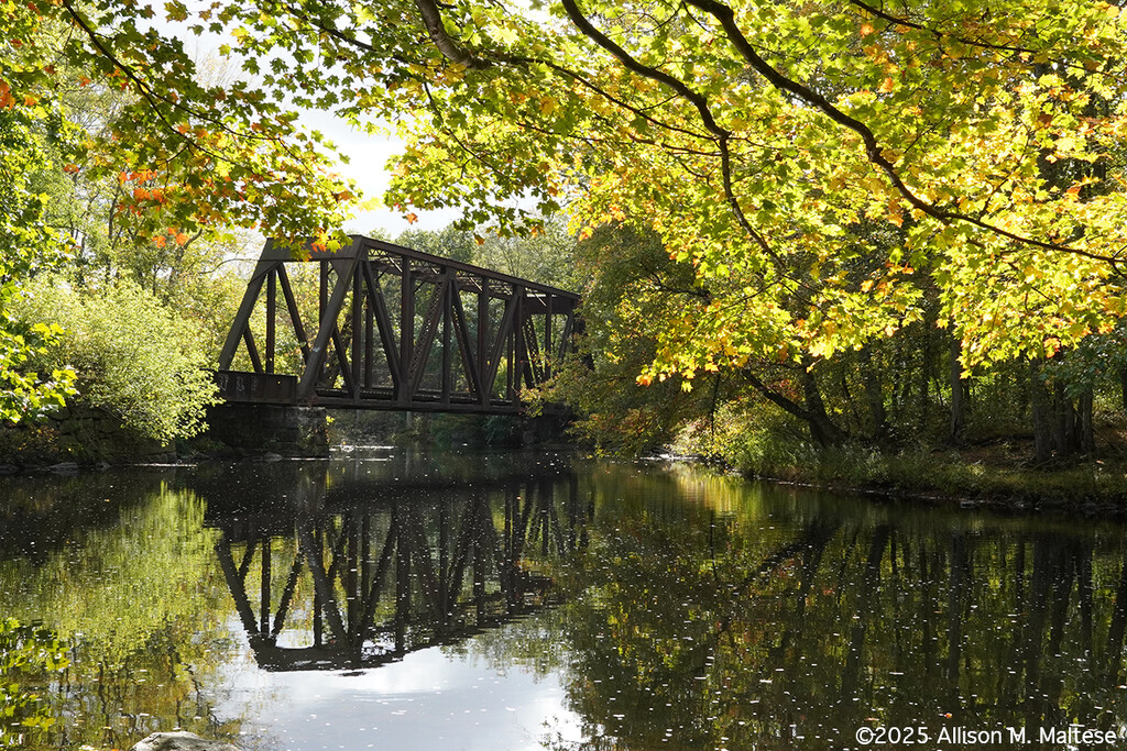 At Yantic Falls by falcon11