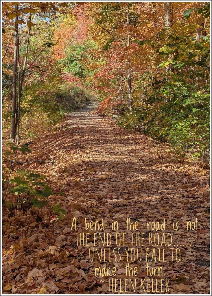 A bend in the road by zilli