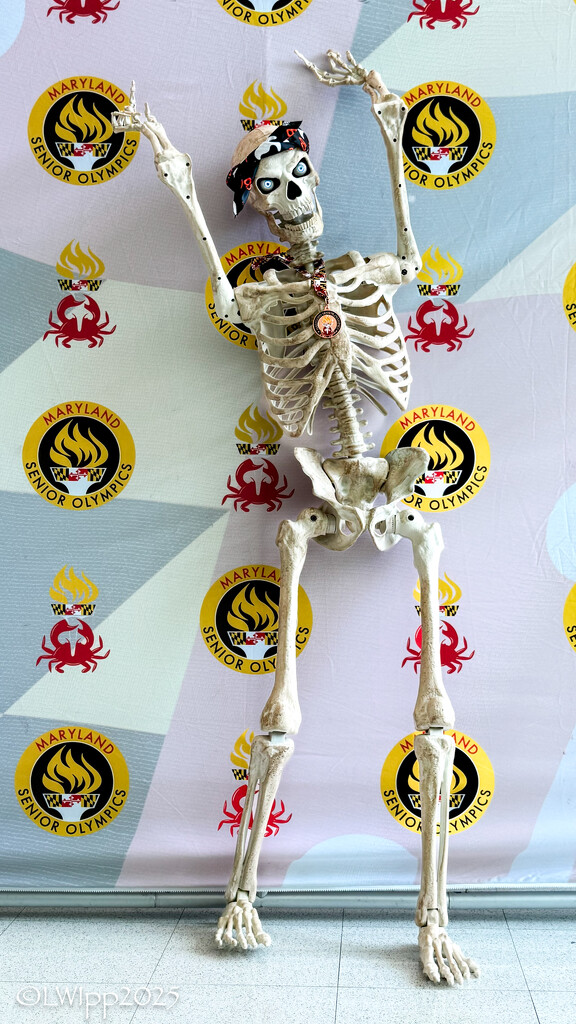 A Skeleton A Day 2025  by lesip