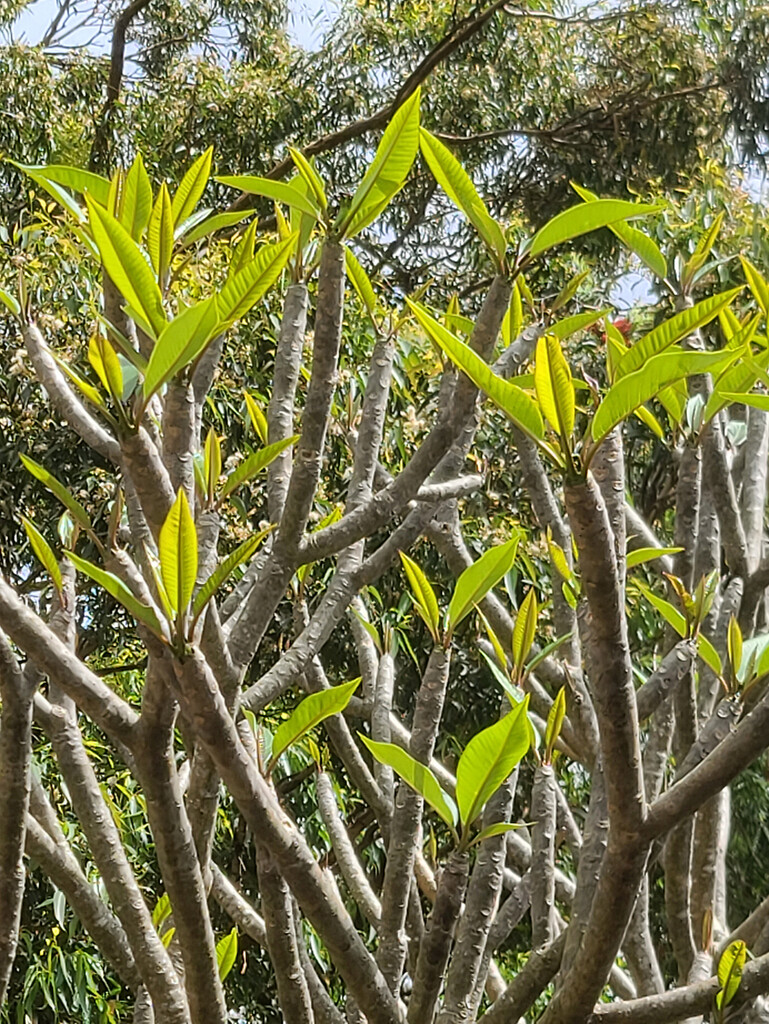 Coming Back to Life by onewing