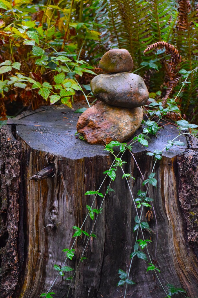 Power of Three by richyoung