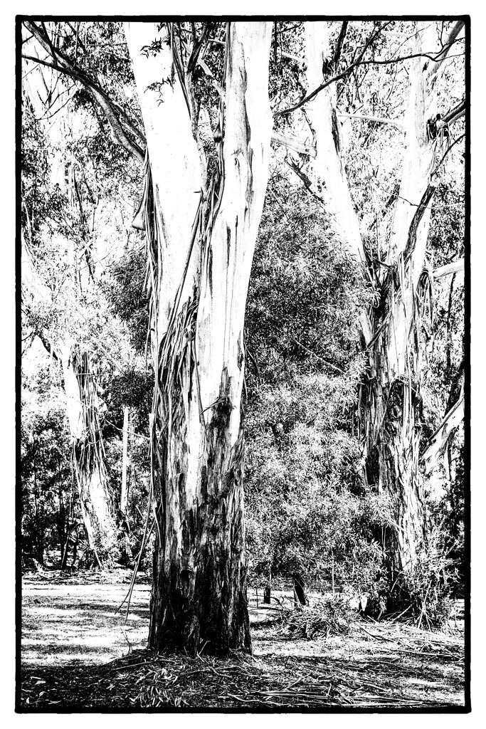 While I'm hooked! by pusspup