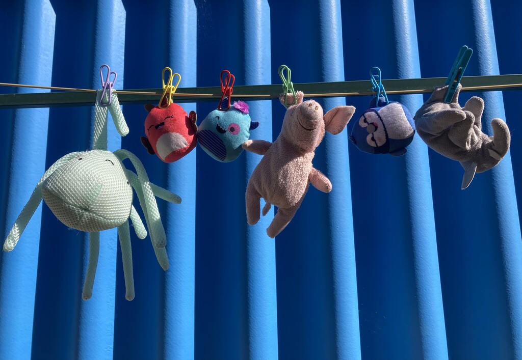 Wash Day by narayani