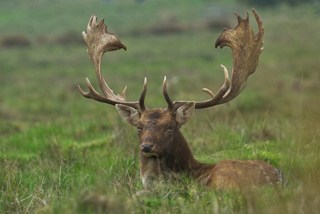 How Much Closer Will She Get?? by 30pics4jackiesdiamond