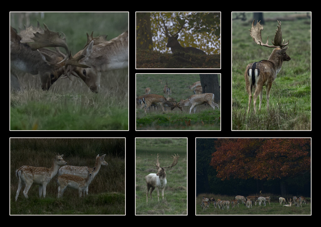 Not Quite Right Ones by 30pics4jackiesdiamond