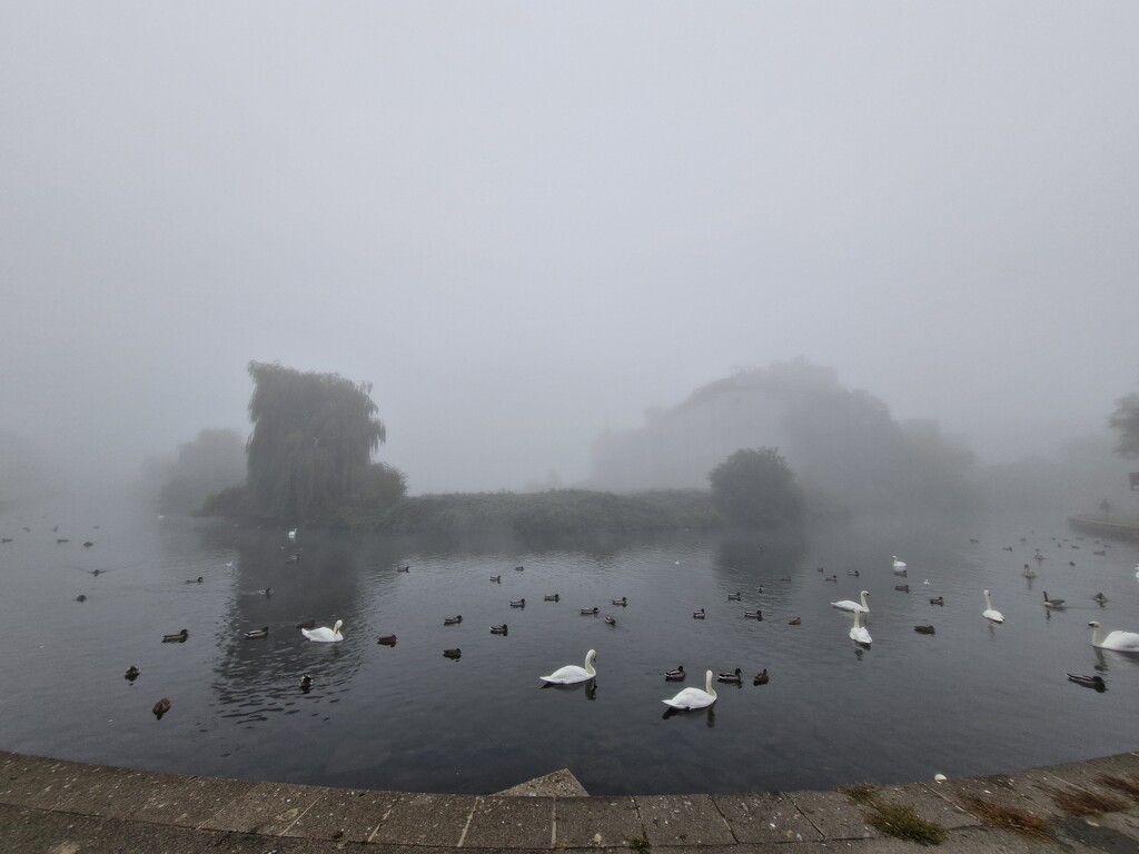 Misty river  by dragey74