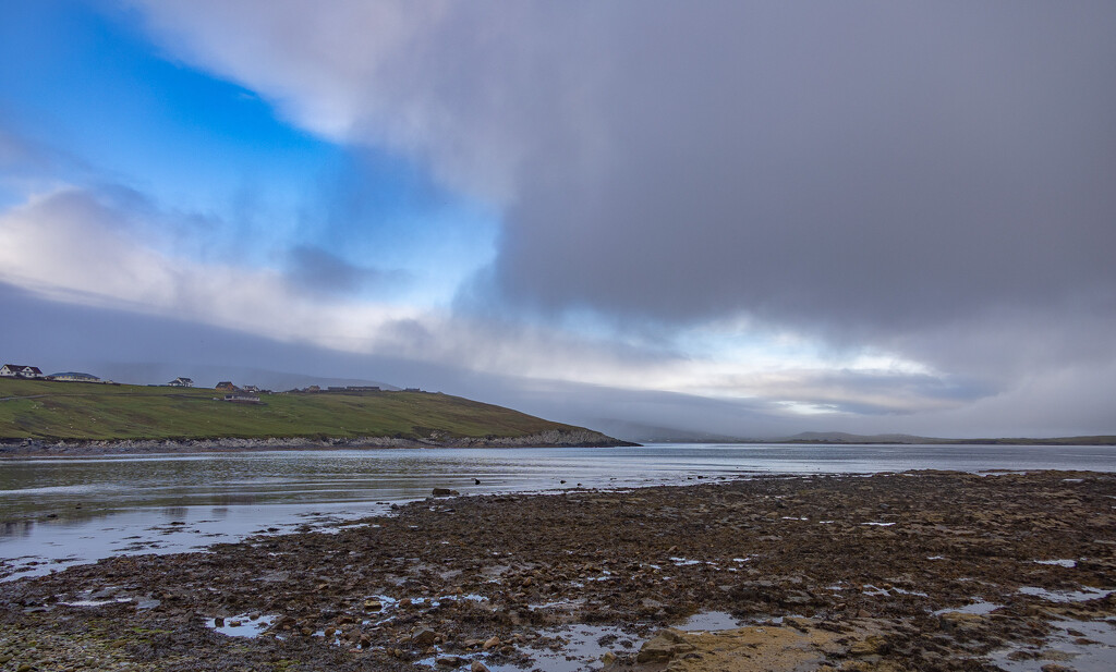 Touch of Blue by lifeat60degrees