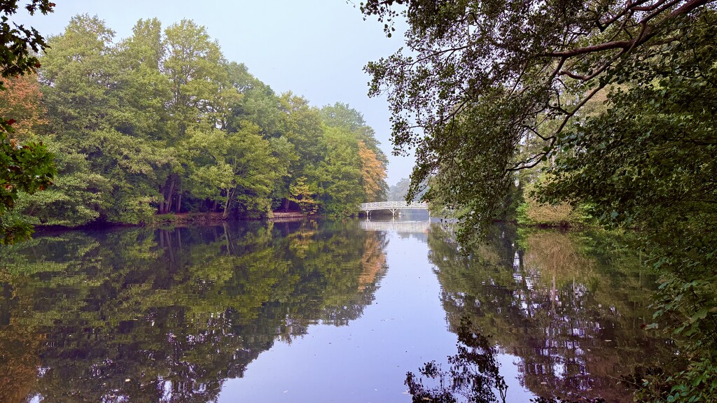 White Bridge  by phil_sandford