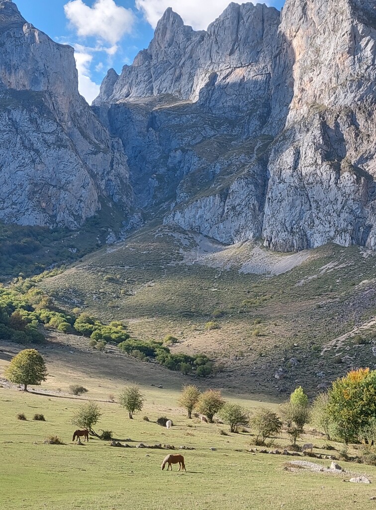 The pasture and the mountains by busylady