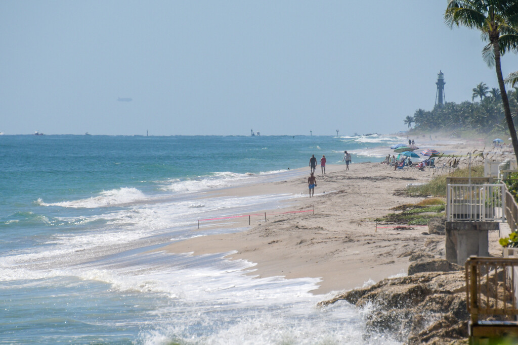 Beach Watching by danette