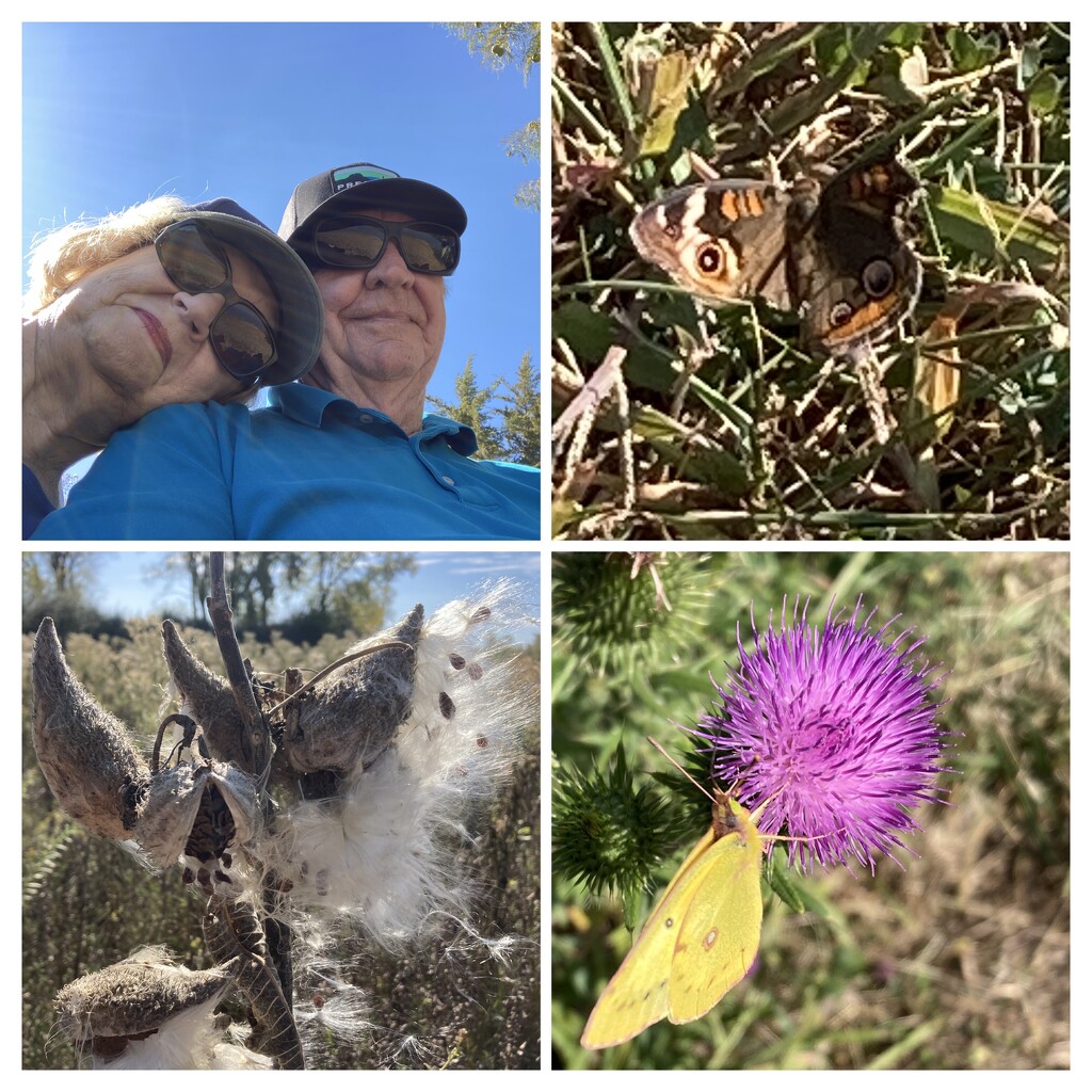 Walked only a little over a mile. by illinilass