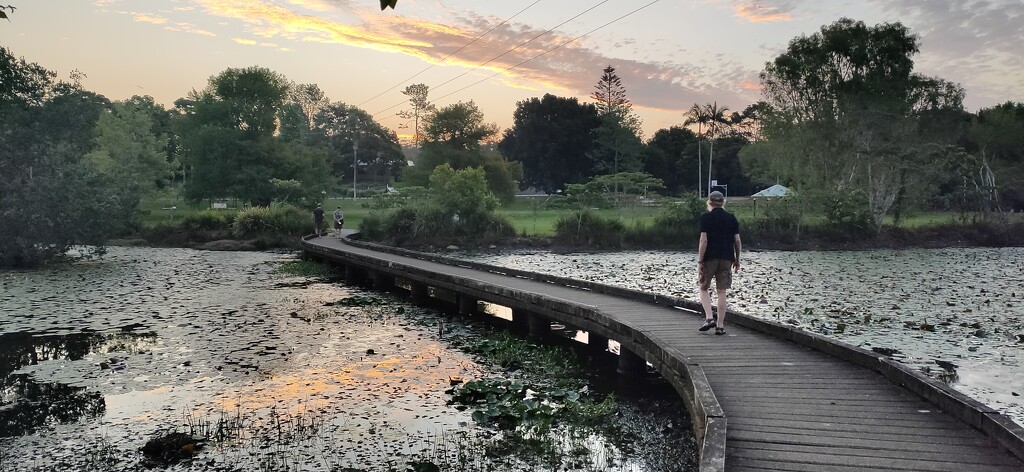 The boardwalk by jeneurell