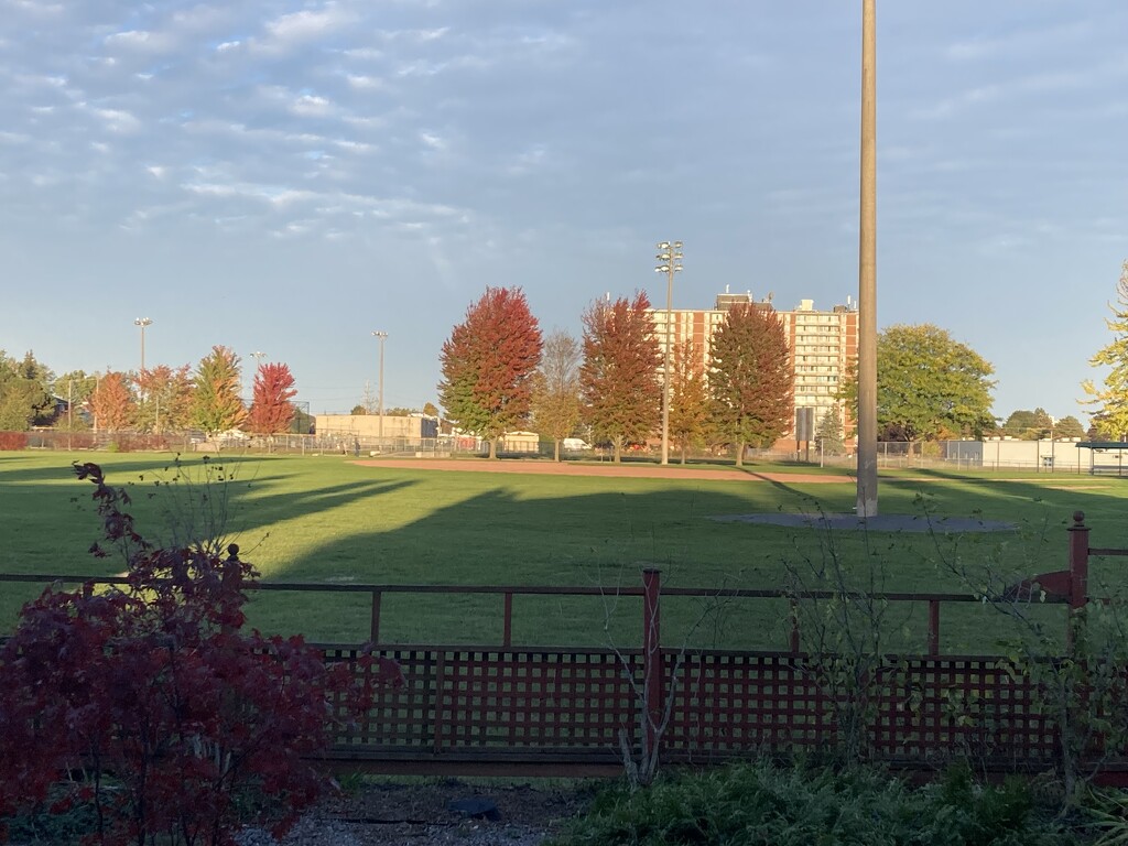 Autumn Sunlight by spanishliz