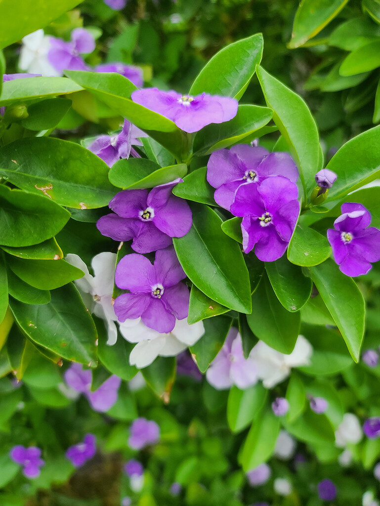 Yesterday, Today, Tomorrow by onewing