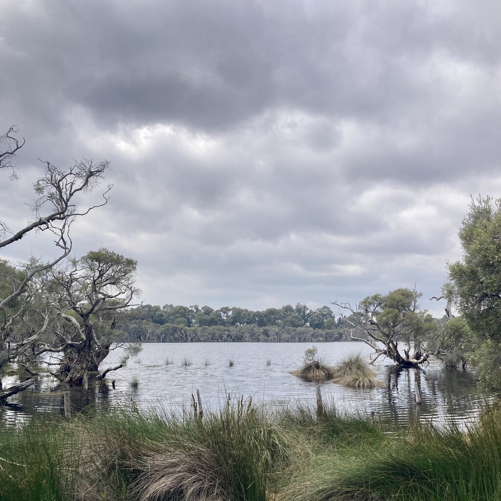 Monday Morning  by narayani