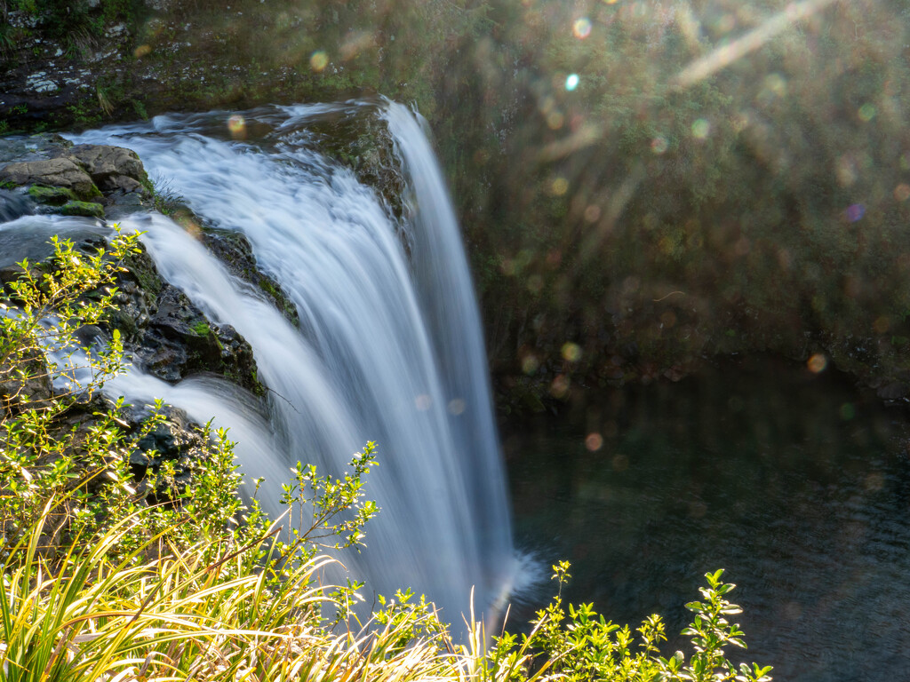 Whangarei falls by christinav