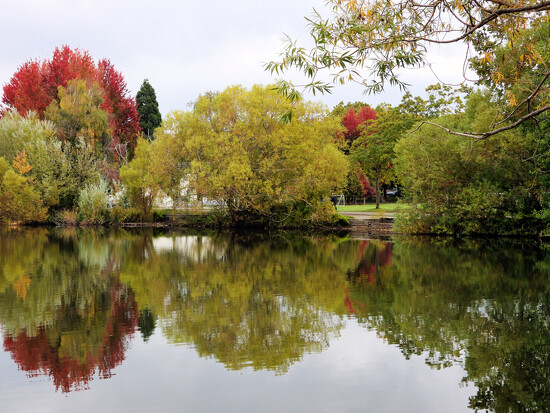 Fall's Reflections on 365 Project