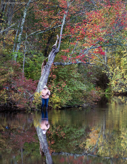 Solitude on 365 Project