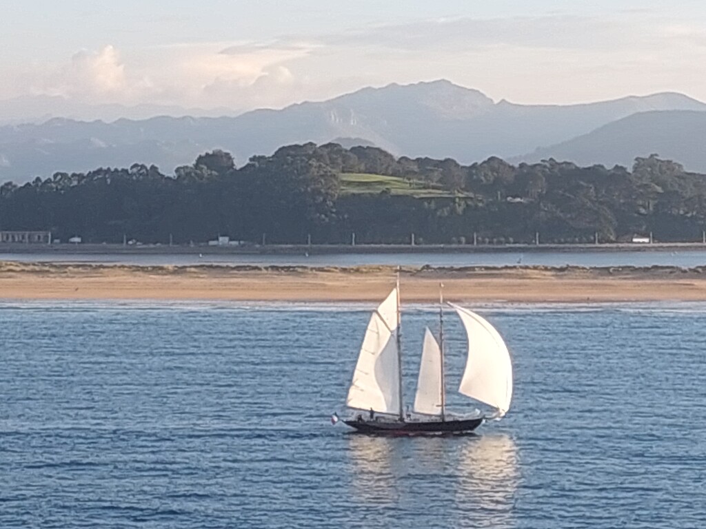 Leaving the harbour  by busylady