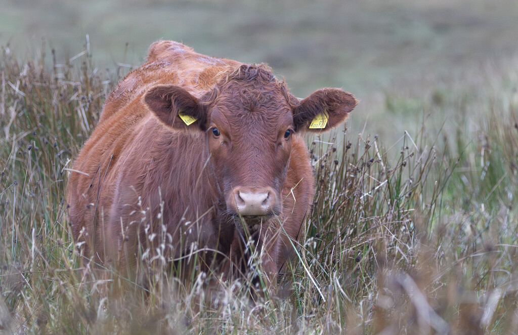 Morning Munch by lifeat60degrees