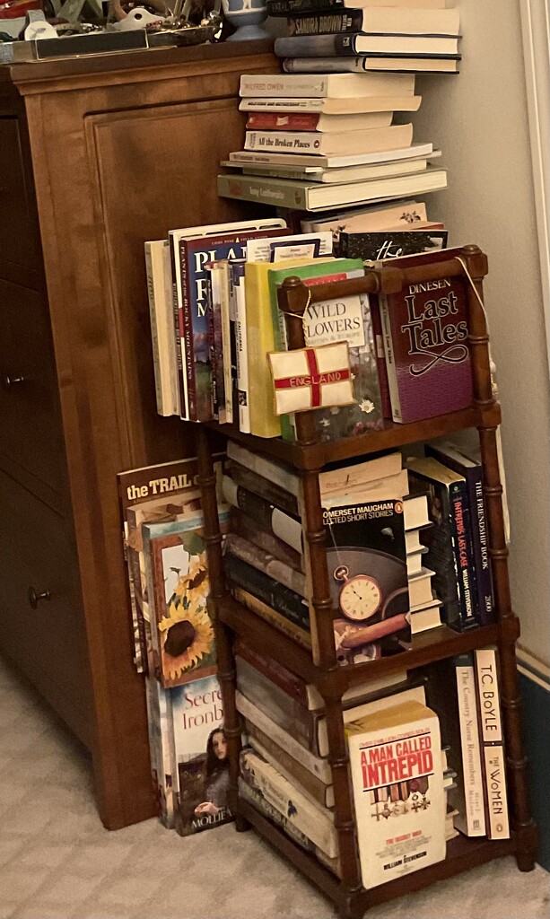 Books in my bedroom!   by illinilass