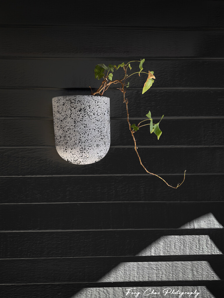 2025-10-11 by aprilfengchaigmailcom