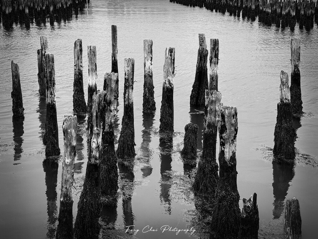 2025-10-13 by aprilfengchaigmailcom