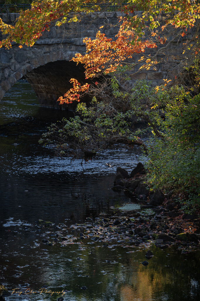 2025-10-09 by aprilfengchaigmailcom