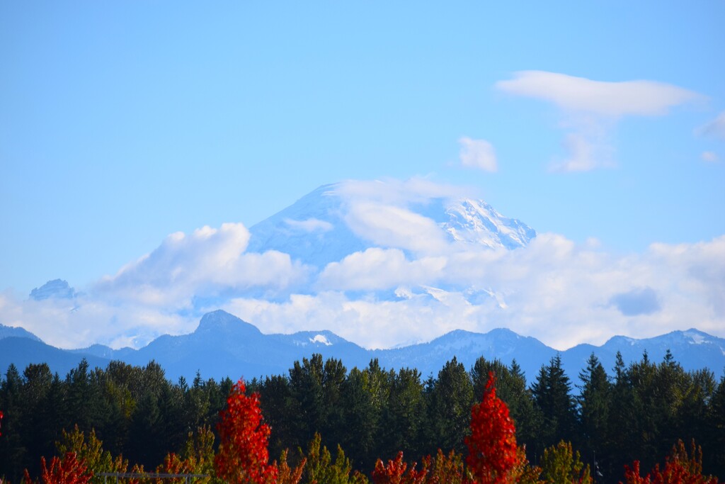 Hide & Seek by richyoung