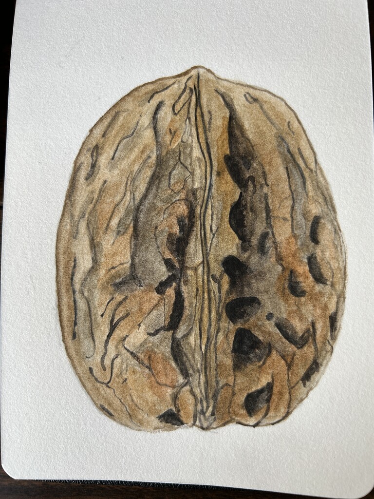 Walnut Tutorial  by marylandgirl58