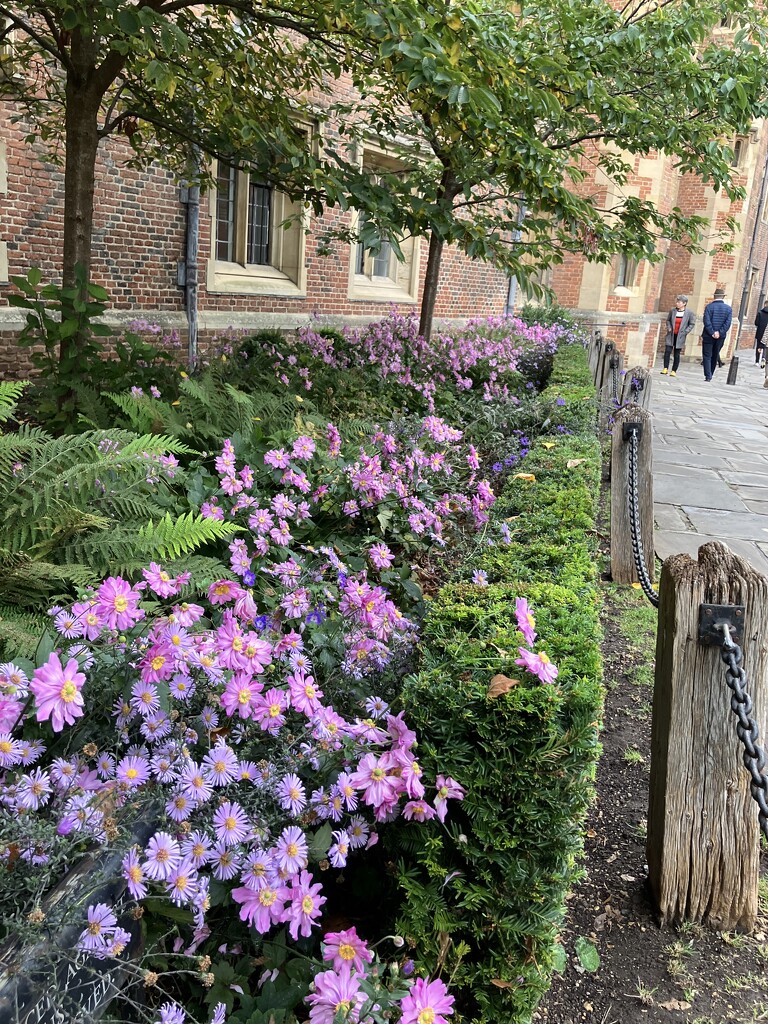 St John’s College, Cambridge  by g3xbm