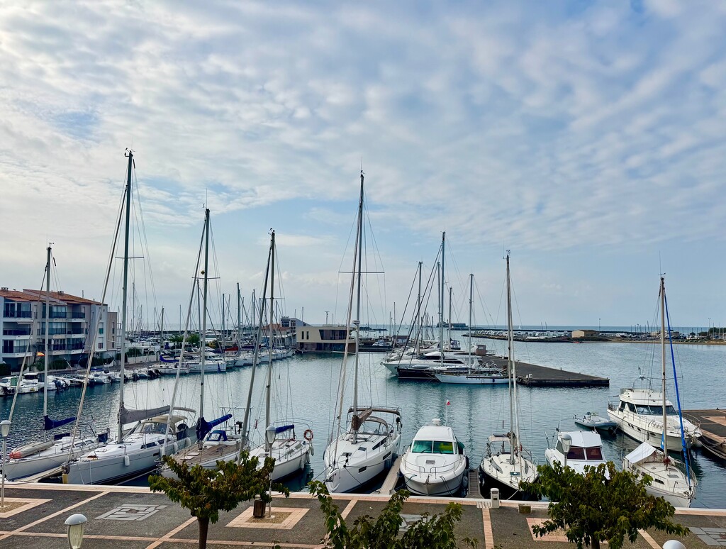 Harbor.  by cocobella