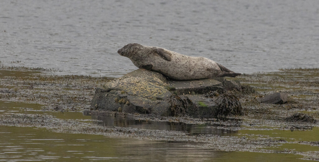 Taking it Easy by lifeat60degrees