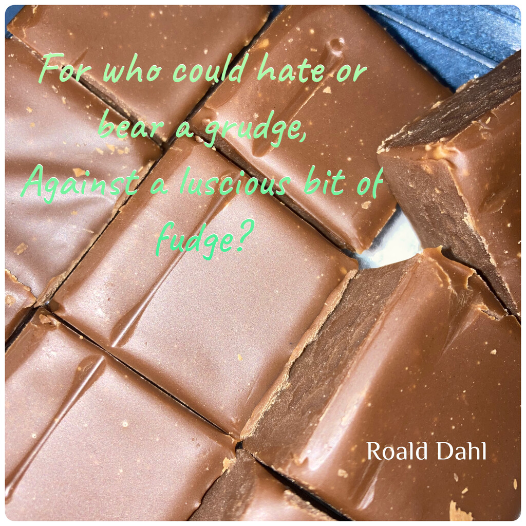 Fudge! by spanishliz