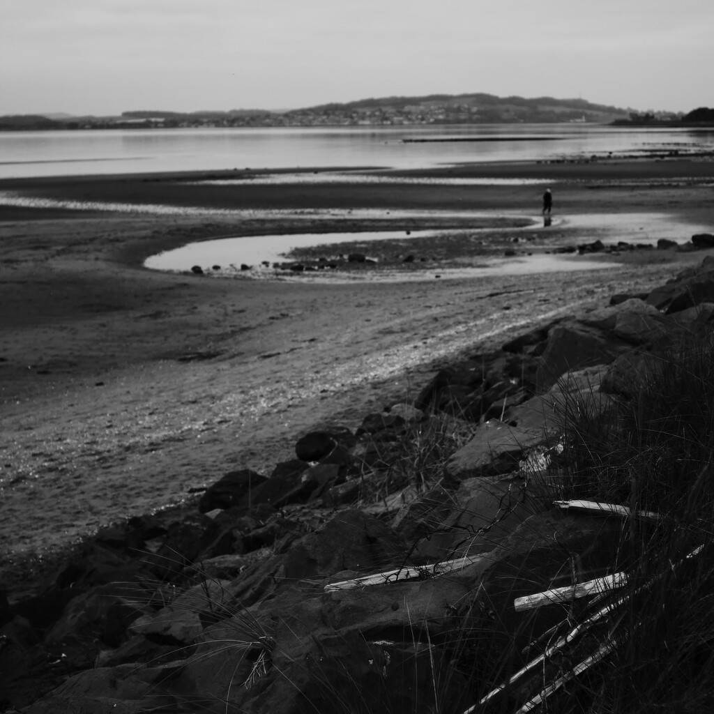 Beach walk  by dgrpad