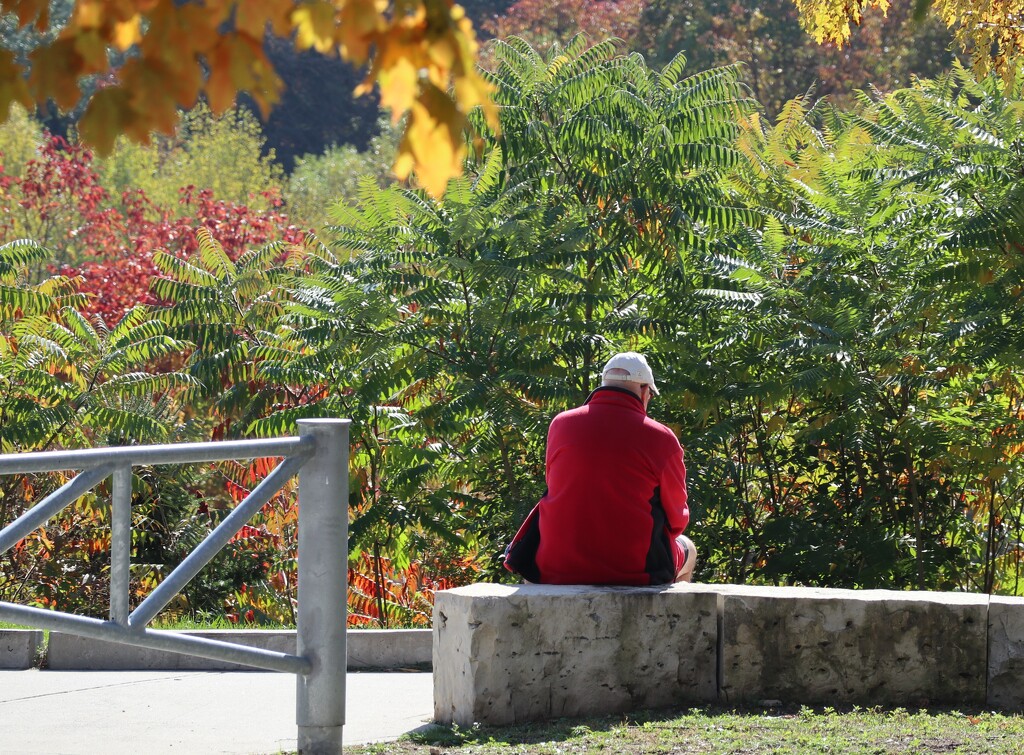 Red for Autumn by 365projectorgheatherb