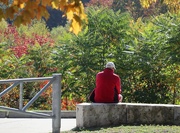 14th Oct 2025 - Red for Autumn