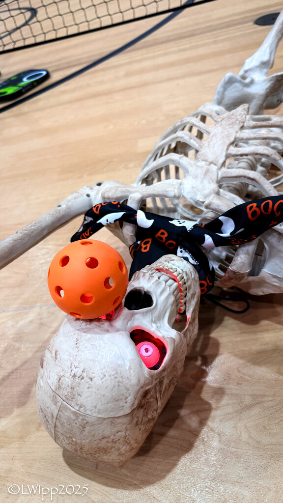 A Skeleton A Day 2025  by lesip