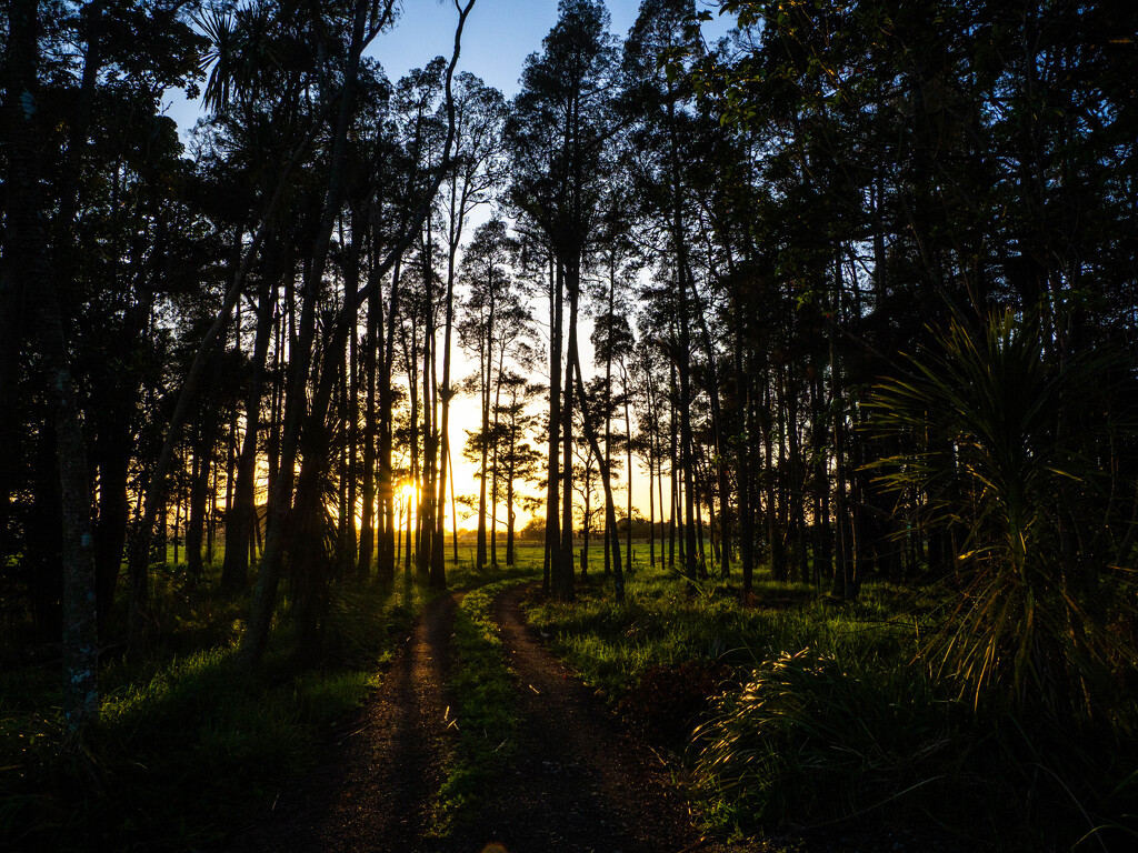 Straight up by christinav