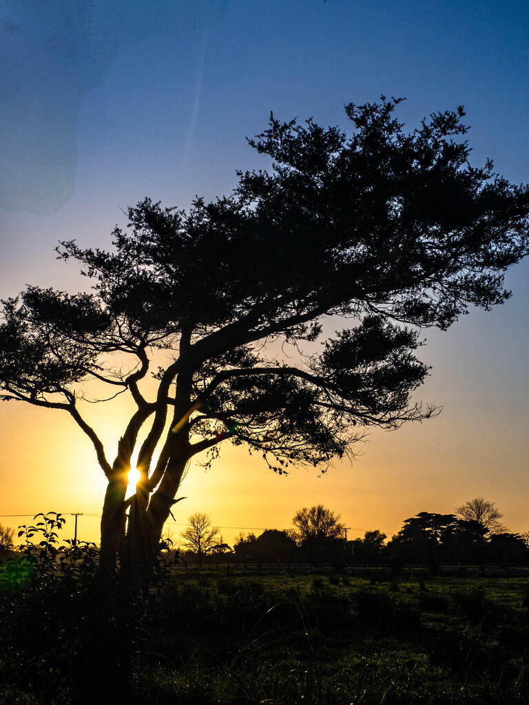 Crooked as by christinav