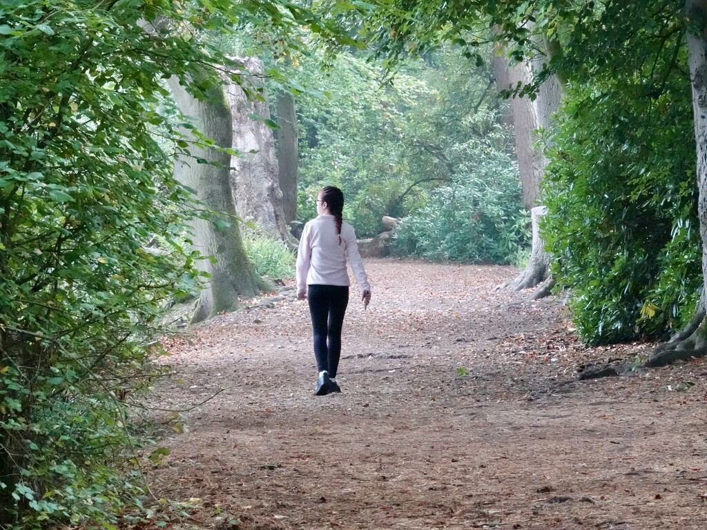 “You Both Keep Stopping” by phil_sandford