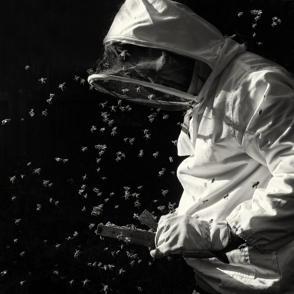 The Bee Man by helenw2