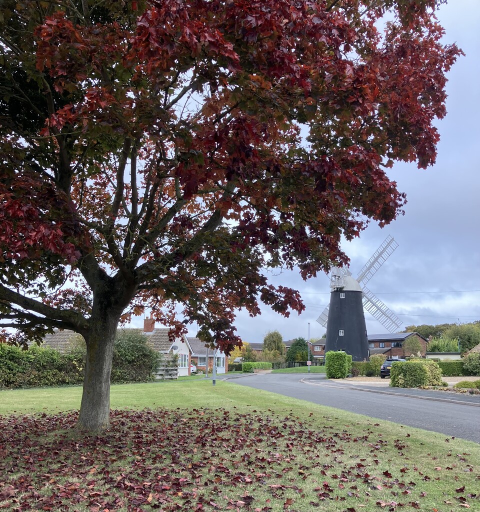 Autumn is here  by g3xbm