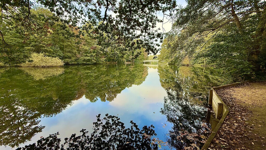 Lake Reflections by carole_sandford