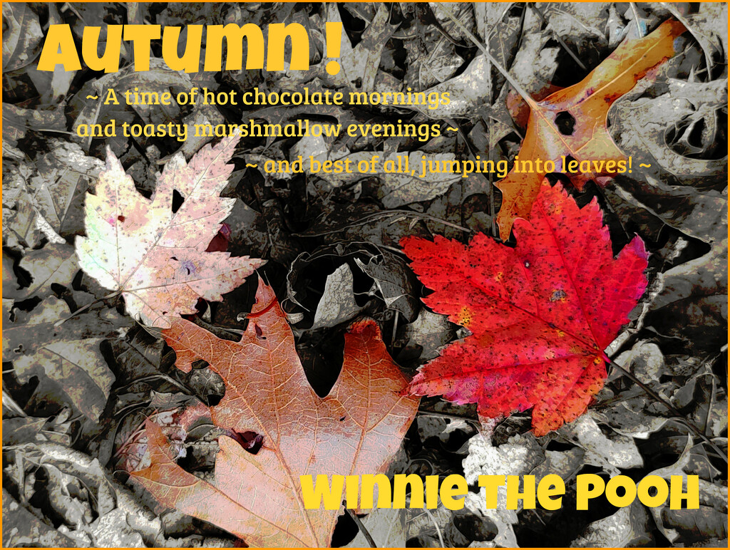 wsl-34 by olivetreeann