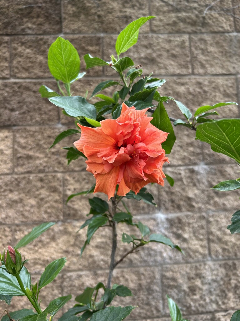 Along our walk by loweygrace