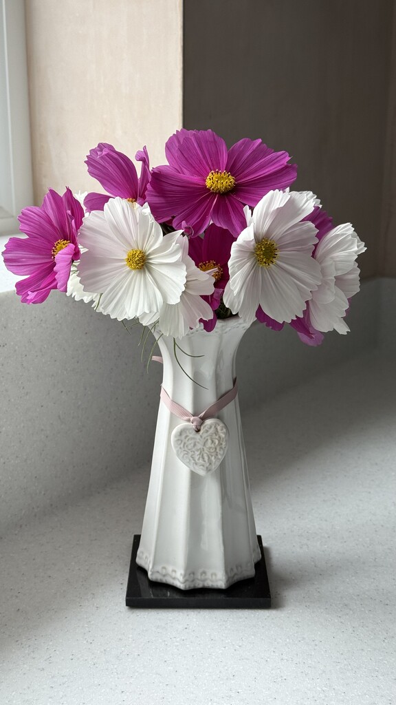 Indoor Display by carole_sandford